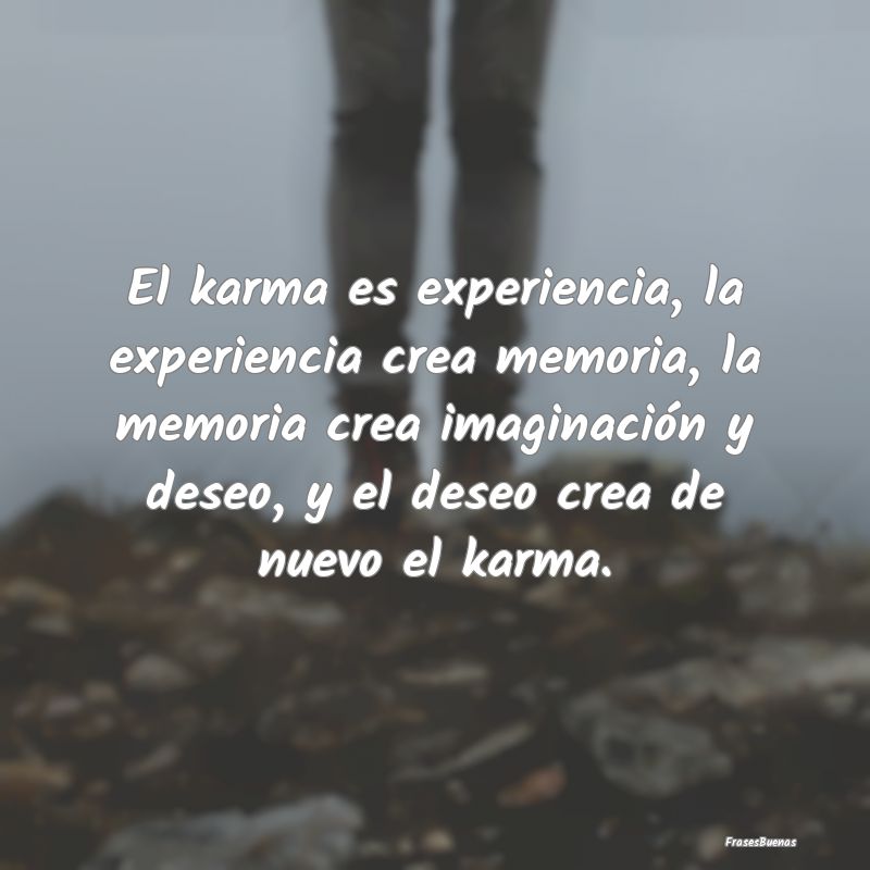 El karma es experiencia, la experiencia crea memor...