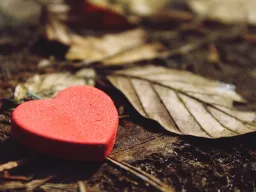 Frases de Amor no Correspondido