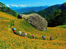 Frases de Belleza Natural