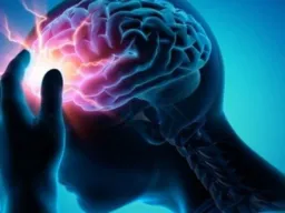 Frases de Confusión