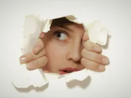 Frases de Curiosidad