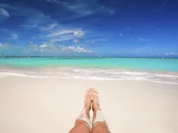 Frases de Desconexión