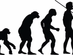 Frases de Evolución