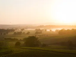 Frases de Naturaleza