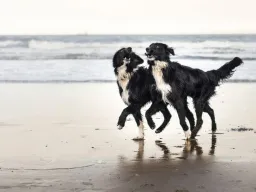 Frases de Reencuentros