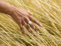 Frases de Sensibilidad