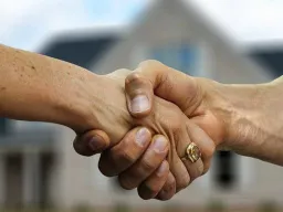 Frases de Valores Humanos