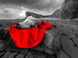 Frases de Sacrificio