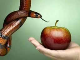 Frases de Tentación