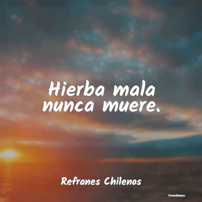 Refranes Chilenos