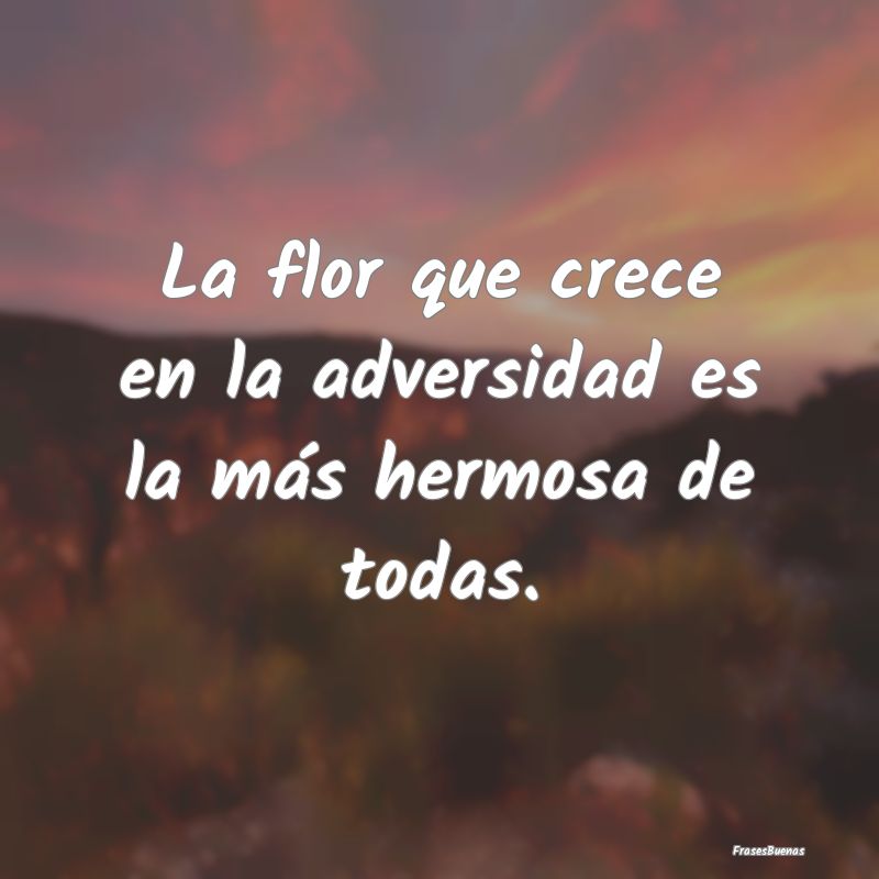 La flor que crece en la adversidad es la más herm...