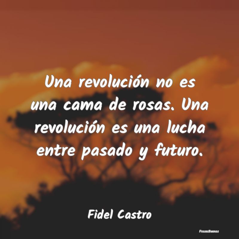 Una revolución no es una cama de rosas. Una revol...