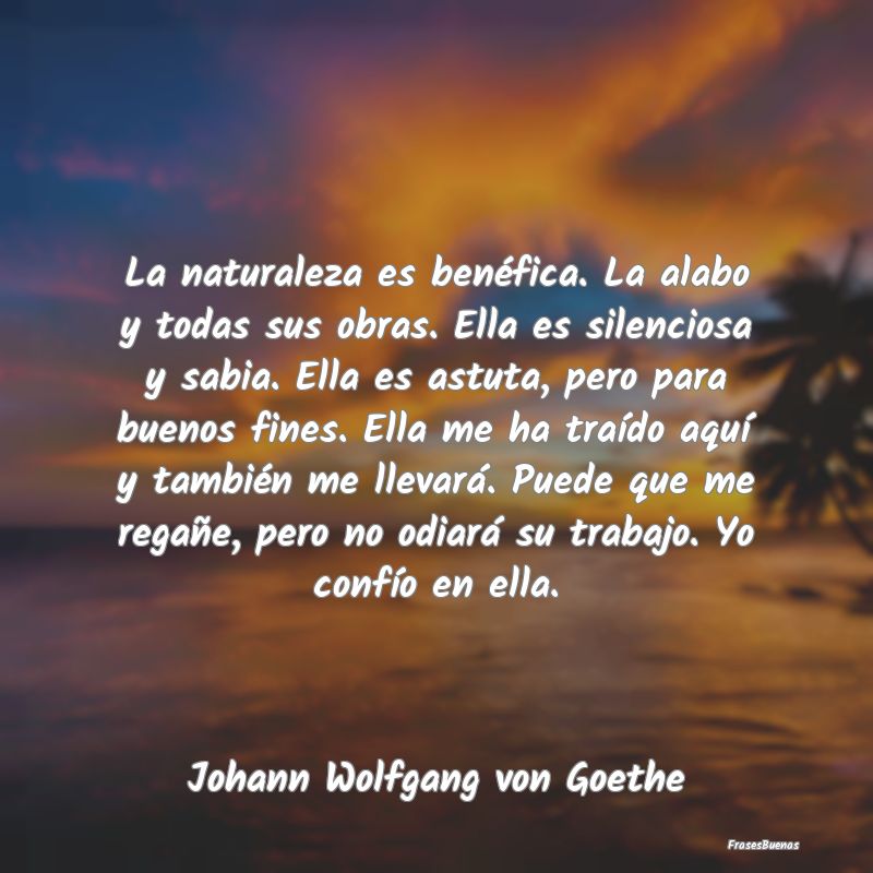 Johann Wolfgang von Goethe Frases - La naturaleza es benéfica. La alabo y t