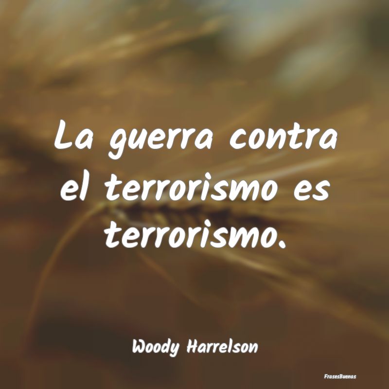 La guerra contra el terrorismo es terrorismo....