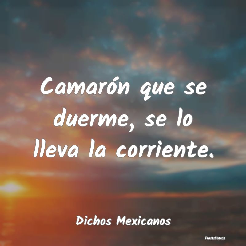 Dichos Mexicanos - Camarón que se duerme, se lo lleva la corriente....