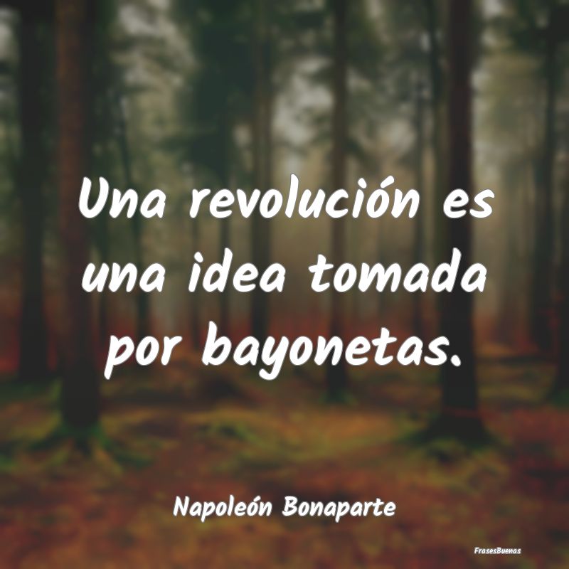 Una revolución es una idea tomada por bayonetas....