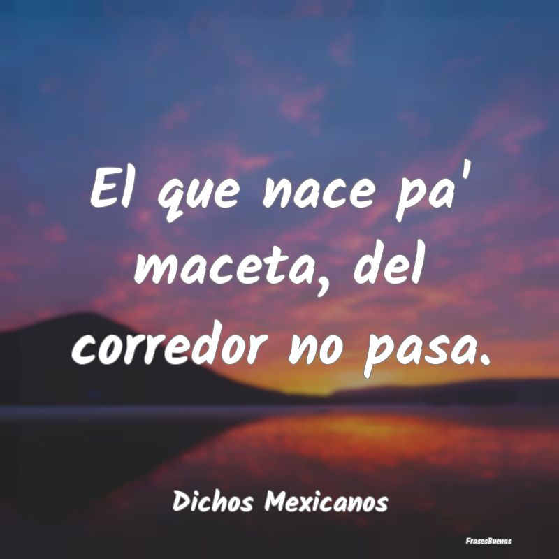 Dichos Mexicanos - El que nace pa' maceta, del corredor no pasa....