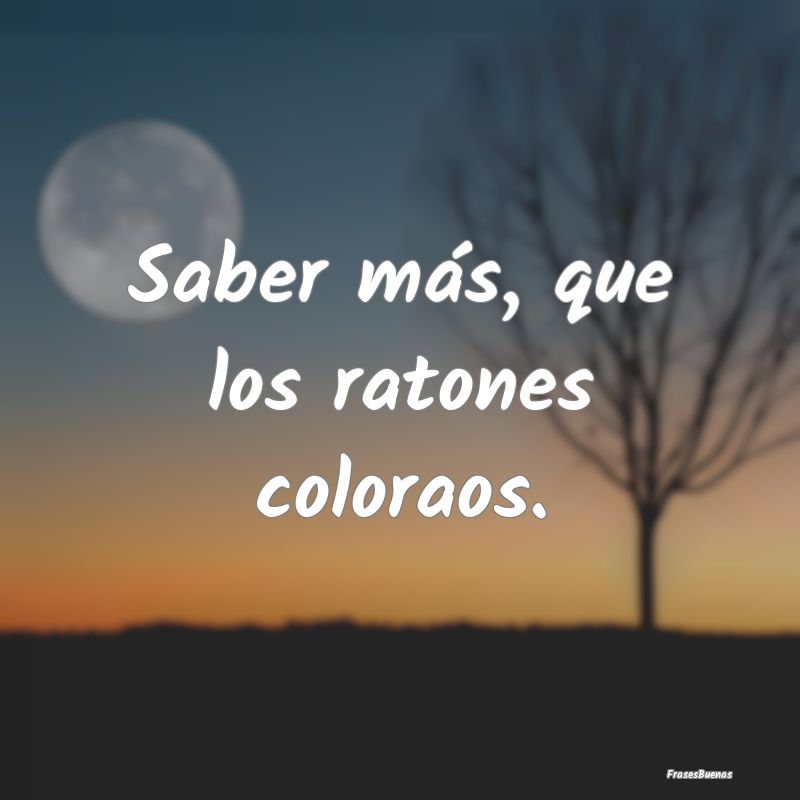 Saber más, que los ratones coloraos....