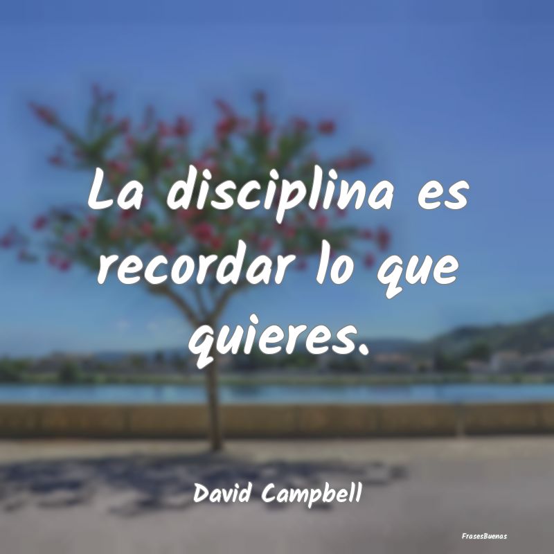 La disciplina es recordar lo que quieres....