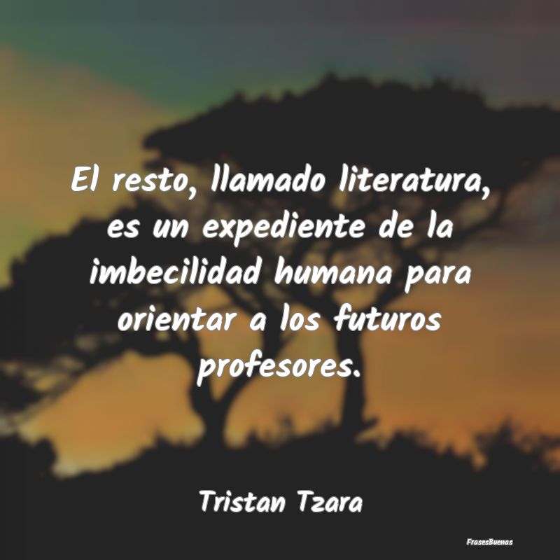 El resto, llamado literatura, es un expediente de ...