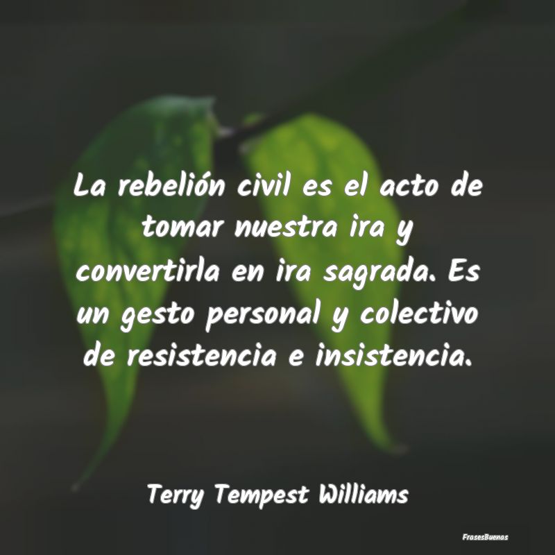 La rebelión civil es el acto de tomar nuestra ira...