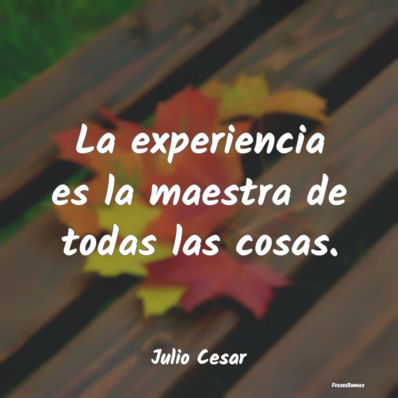 La experiencia es la maestra de todas las cosas....
