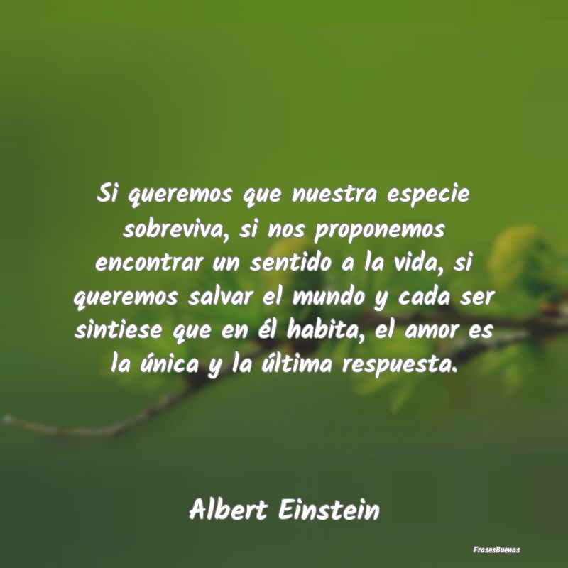 Frases de Albert Einstein - Si queremos que nuestra especie sobreviv