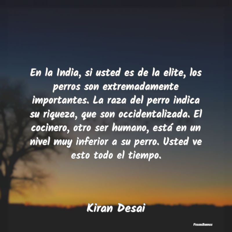 Frases de Riqueza - En la India, si usted es de la elite, los perros s...