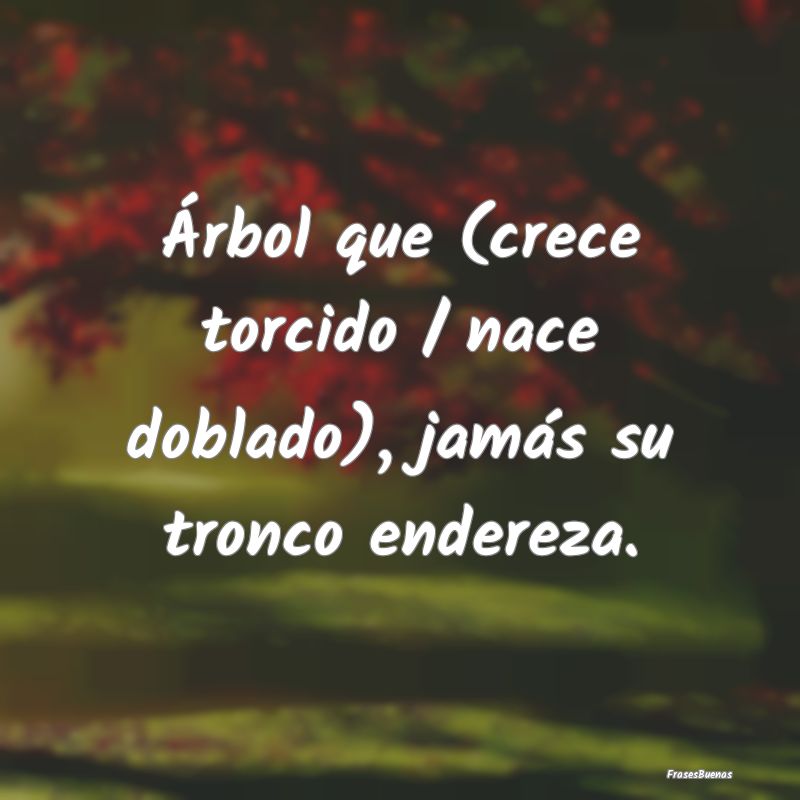 Árbol que (crece torcido / nace doblado), jamás ...