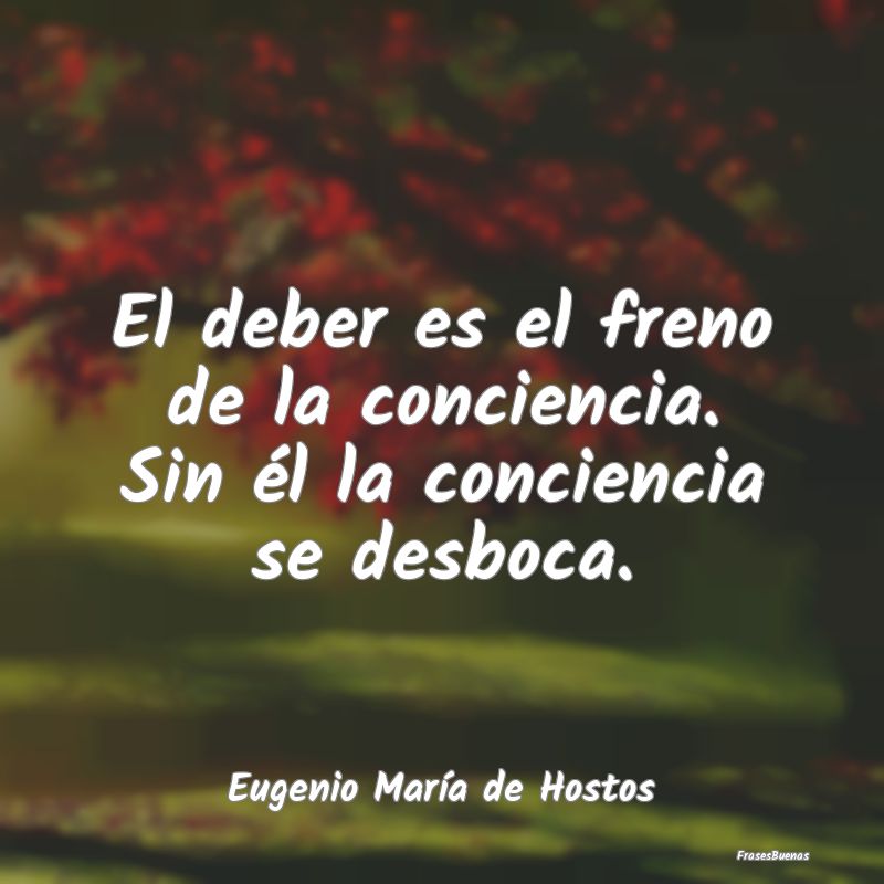 Frases de Conciencia - El deber es el freno de la conciencia. Sin él la ...