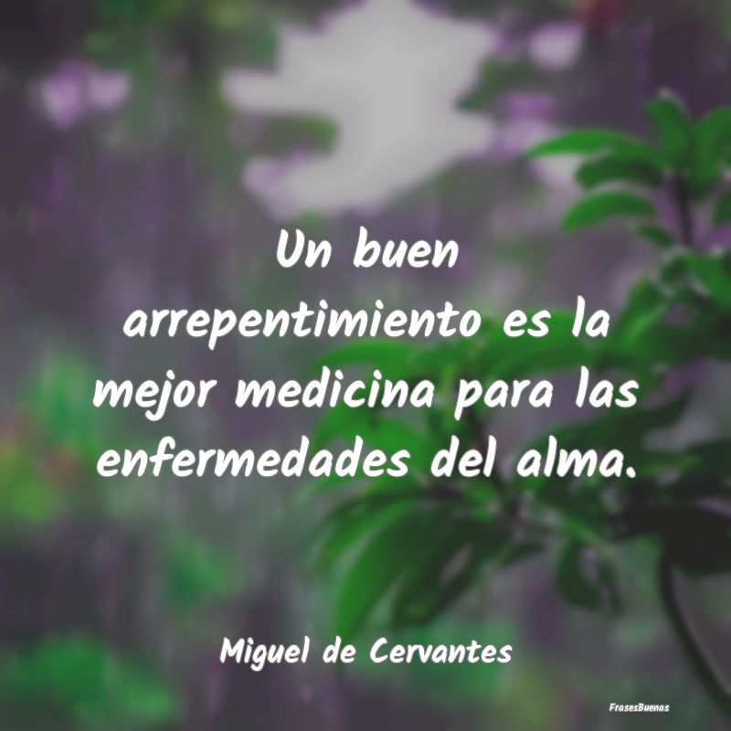 Frases de Miguel de Cervantes - Un buen arrepentimiento es la mejor medi
