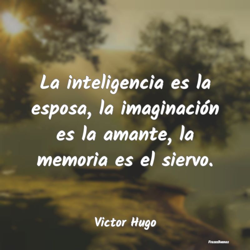 La inteligencia es la esposa, la imaginación es l...