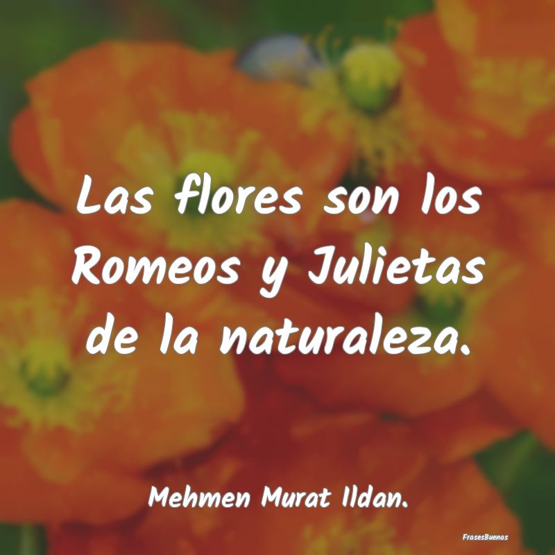 Las flores son los Romeos y Julietas de la natural...