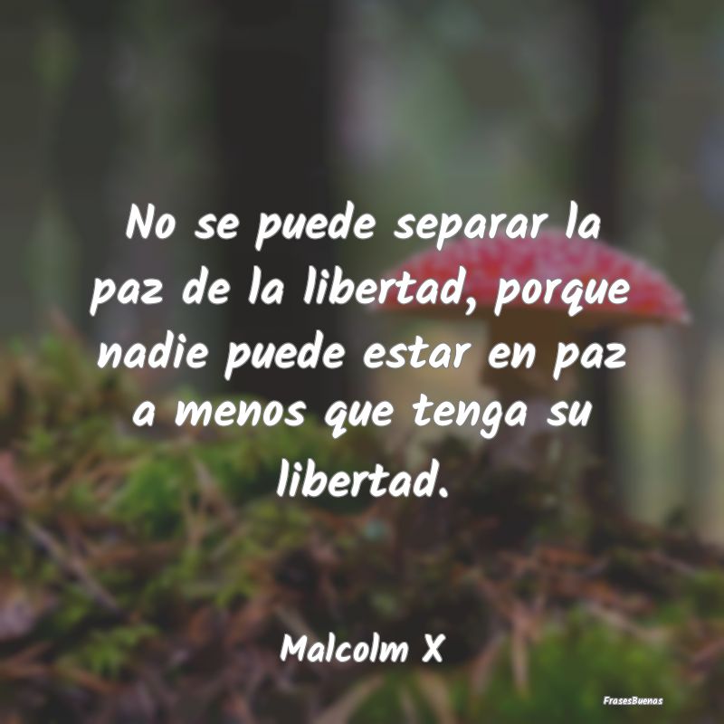 No se puede separar la paz de la libertad, porque ...
