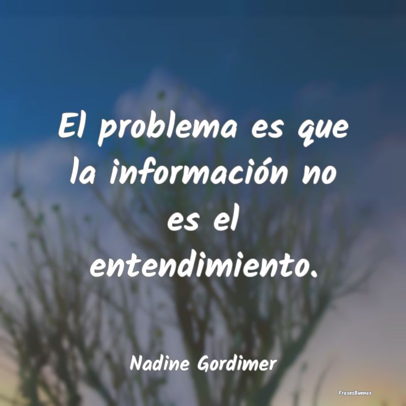 El problema es que la información no es el entend...