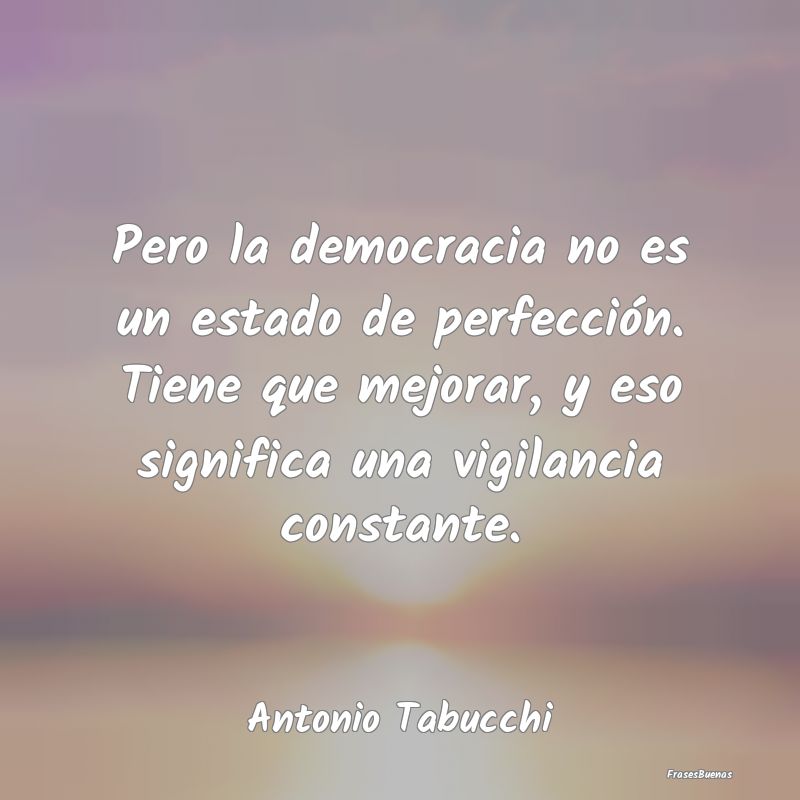 Pero la democracia no es un estado de perfección....