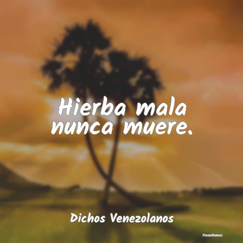 Dichos Venezolanos - Hierba mala nunca muere....