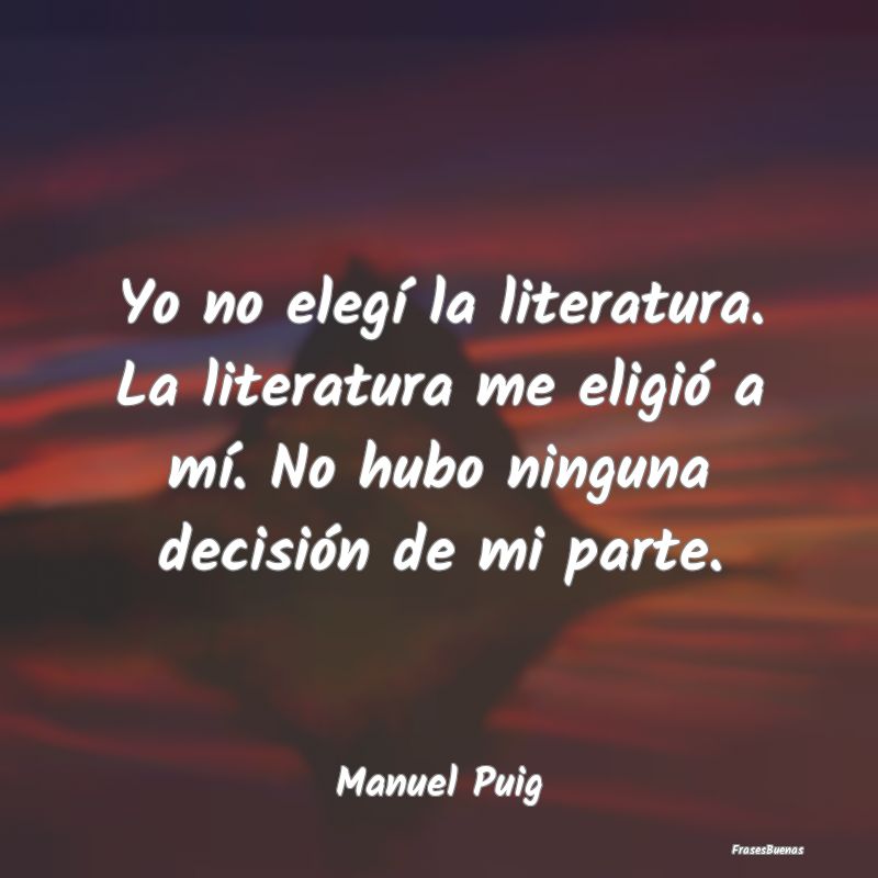 Yo no elegí la literatura. La literatura me eligi...