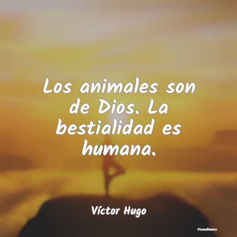 Los animales son de Dios. La bestialidad es humana...