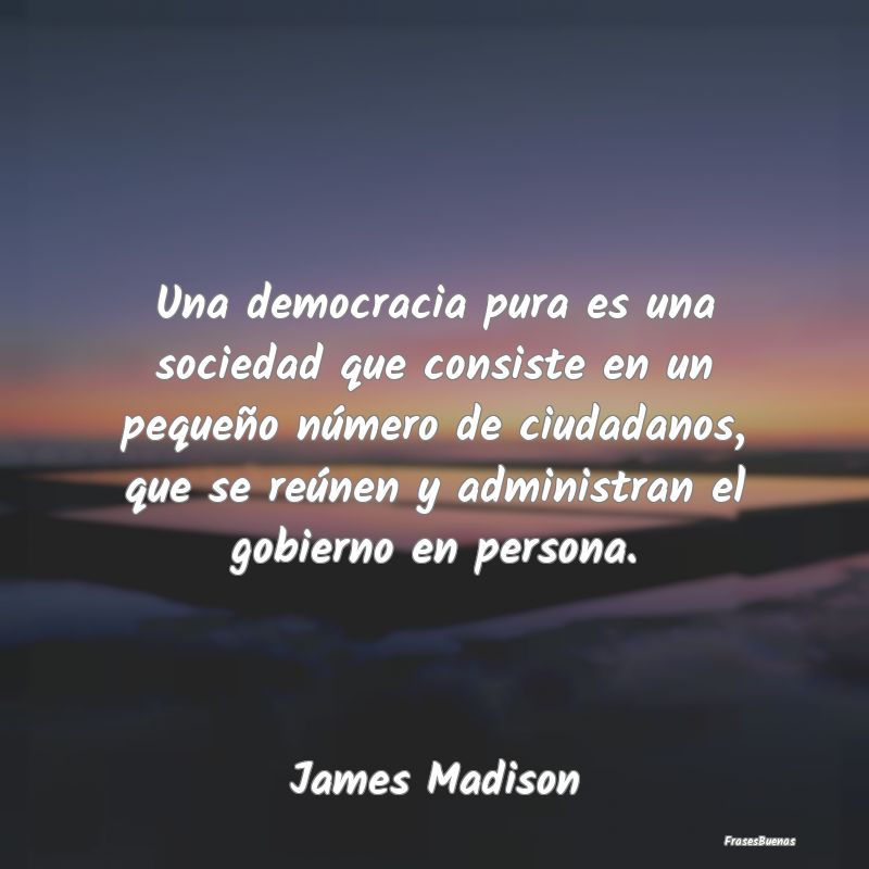 Una democracia pura es una sociedad que consiste e...