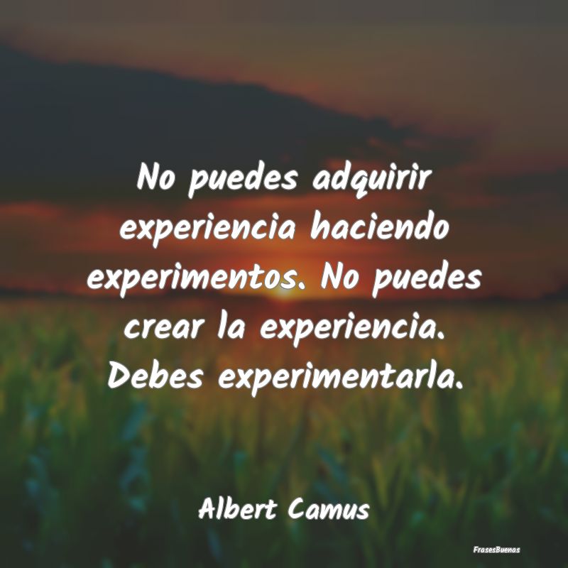 No puedes adquirir experiencia haciendo experiment...