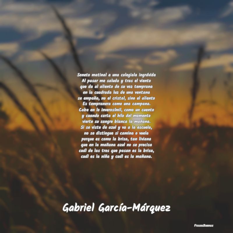 Frases de Gabriel García Márquez - Soneto matinal a una colegiala ingrávid