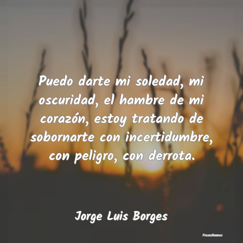 Frases Jorge Luis Borges - Puedo darte mi soledad, mi oscuridad, el