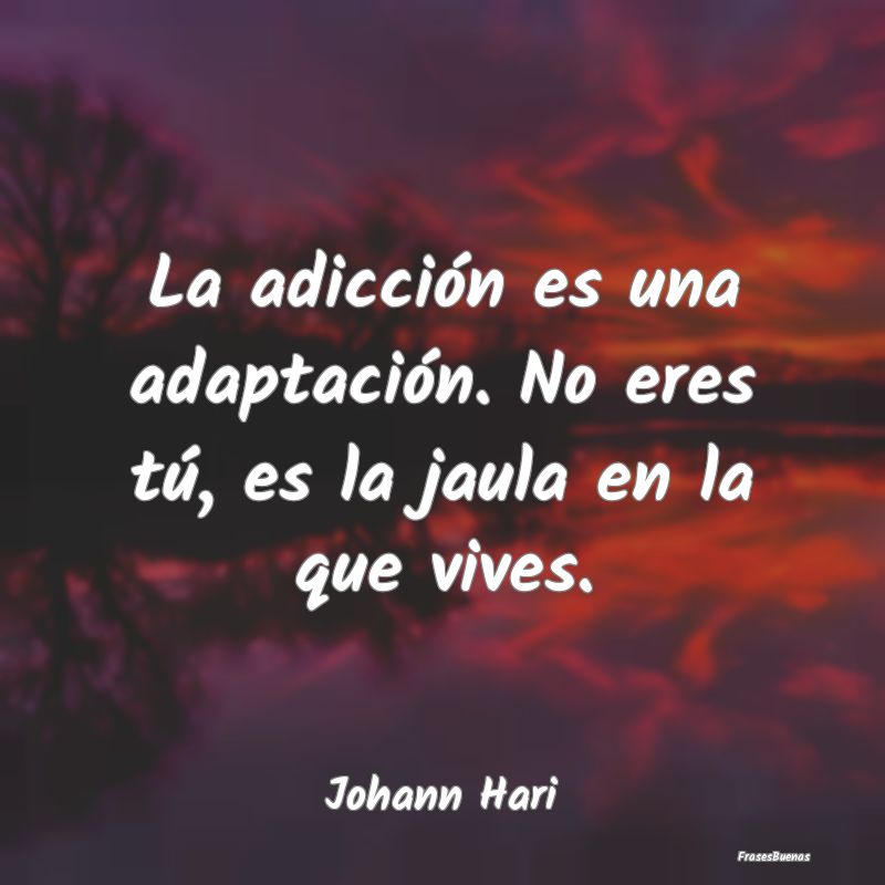 La adicción es una adaptación. No eres tú, es l...