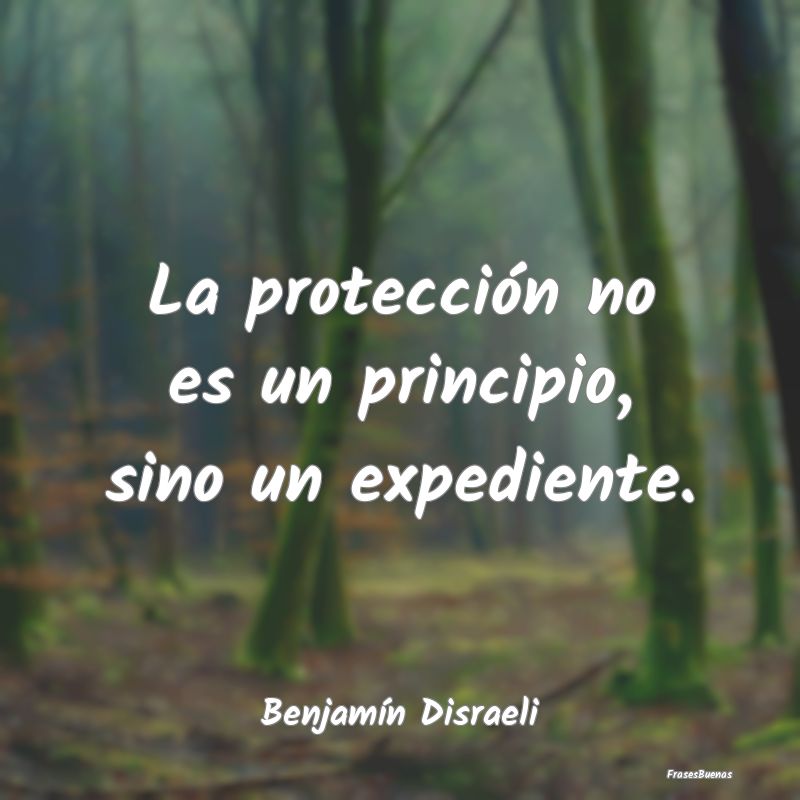La protección no es un principio, sino un expedie...