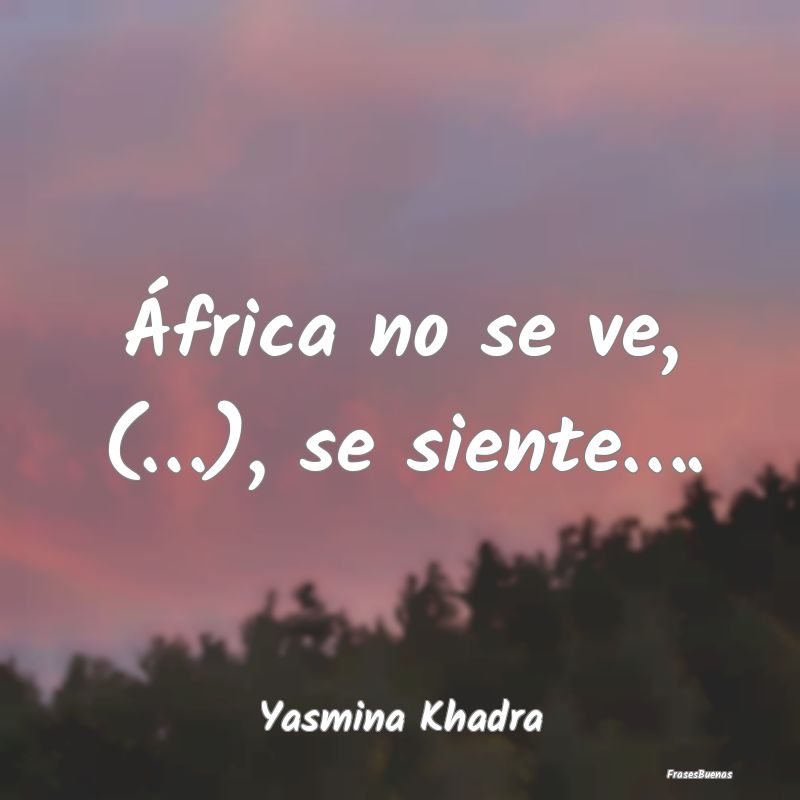 África no se ve, (…), se siente…....