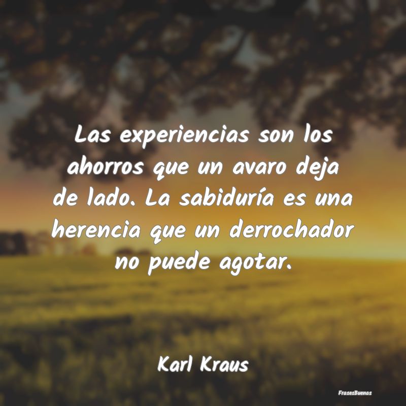 Frases de Karl Kraus - Las experiencias son los ahorros que un