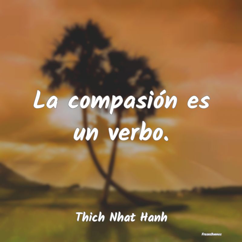 La compasión es un verbo....
