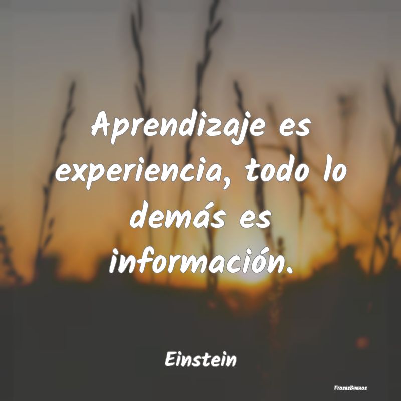 Aprendizaje es experiencia, todo lo demás es info...