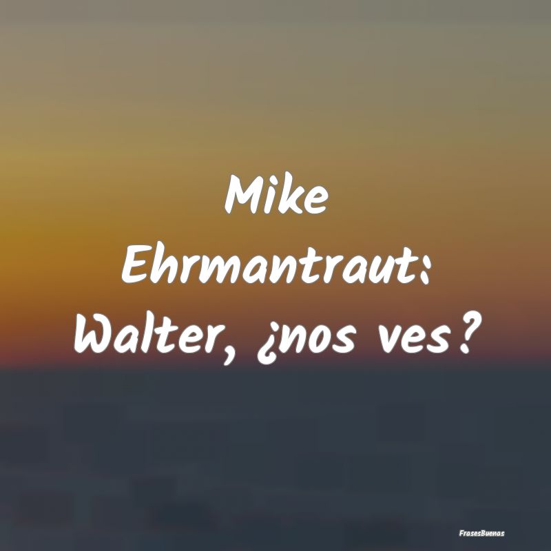 Mike Ehrmantraut: Walter, ¿nos ves?
...
